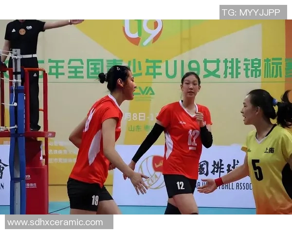 南京排球队逆袭之路欧锦赛背后的奋斗与荣耀