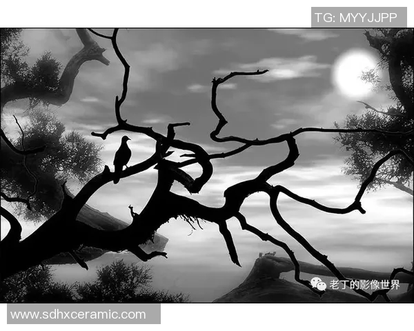 孤独的绿茵传奇:探寻最孤独足球明星背后的心路历程与情感世界