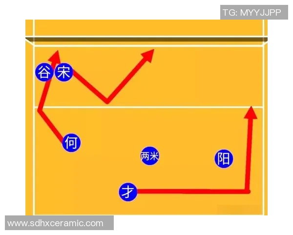 杭州排球队的战术演变与球员转换深度解析 杭州排球队的战术演变与球员转换深度解析