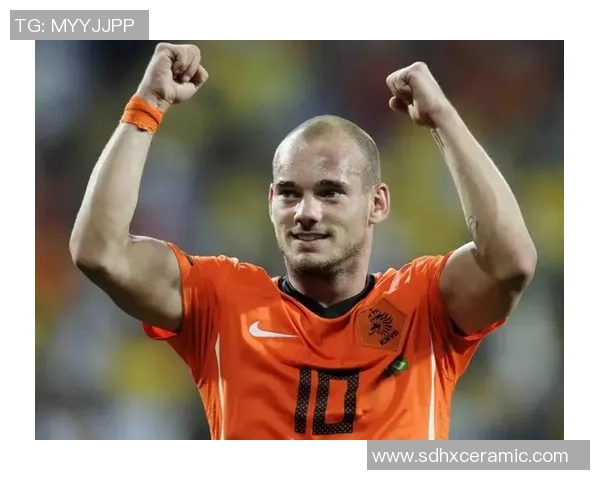 荷兰足球界的秃顶明星球员盘点与成就分析