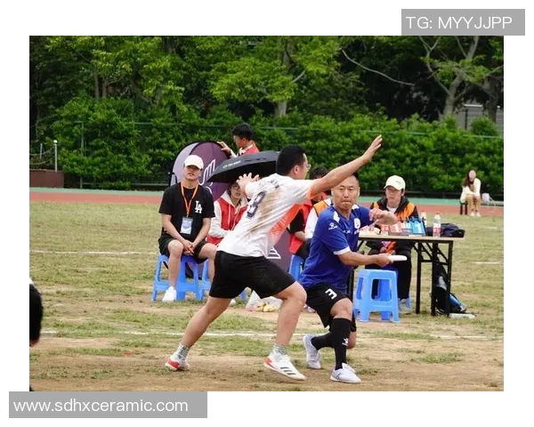 2026飞盘战术排行榜：深圳飞盘队位居第6名