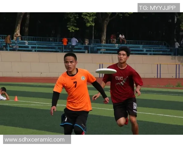 飞盘巨献：探秘武汉飞盘队的耐力