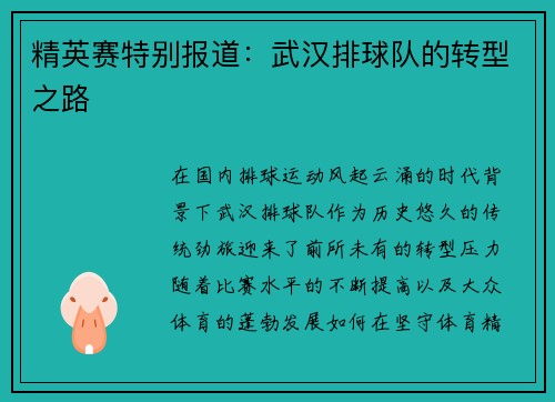 精英赛特别报道：武汉排球队的转型之路