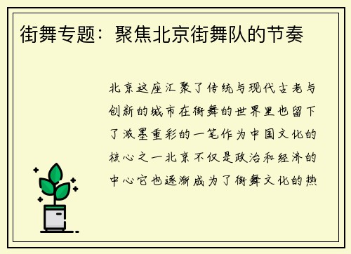 街舞专题：聚焦北京街舞队的节奏